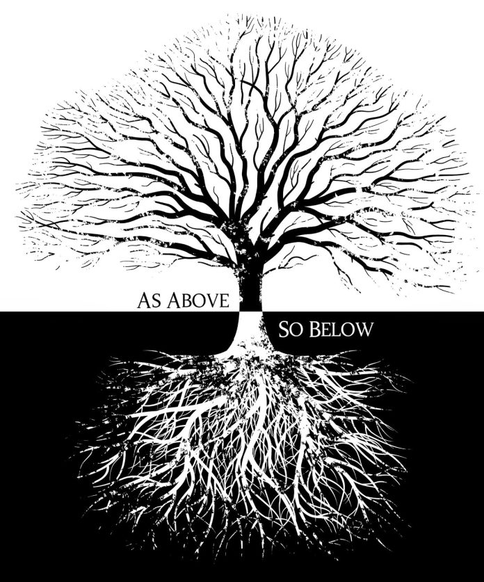 ΓΕΝΕΟΛΟΓΙΚΟ ΜΑΣ ΔΕΝΔΡΟ