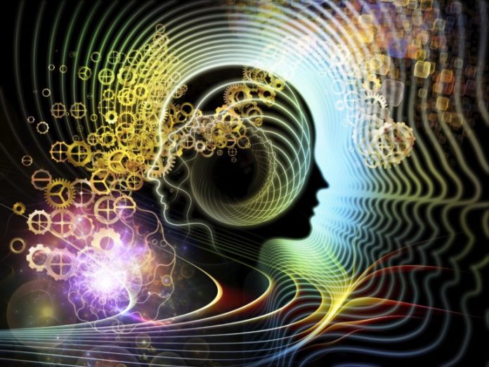 Energy of Human Mind ΟΙ ΤΡΕΙΣ ΕΓΚΕΦΑΛΟΙ ΤΟΥ ΑΝΘΡΩΠΟΥ
