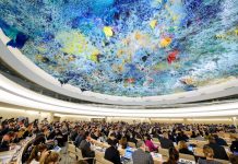 The International Bill of Human Rights, Fact Sheet No.2 (Rev.1) – Ο διεθνής νόμος για τα ανθρώπινα δικαιώματα, το ενημερωτικό δελτίο αριθ. 2 (Rev.1)