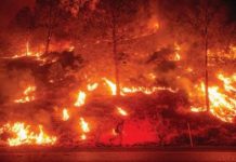 Η ΦΩΤΙΑ ΠΟΥ ΚΑΙΕΙ ΑΠΟ ΤΟ 2010