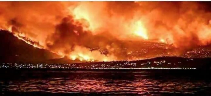 37739184_239137500244255_3569489994777100288_n