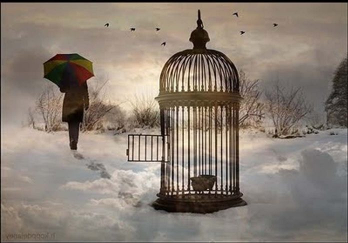 13 ΔΕΝ ΗΞΕΡΕΣ ΝΑ ΠΕΤΑΣ ΚΑΙ ΦΟΒΗΘΗΚΕΣ ... ΦΟΒΗΘΗΚΕΣ ΠΟΛΥ ΜΗΝ ΔΕΝ ΑΝΟΙΞΟΥΝ ΚΑΝ ΟΙ ΦΤΕΡΟΥΓΕΣ ΣΟΥ ΓΙΑΤΙ Η ΦΥΛΑΚΗ ΔΕΝ ΣΟΥ ΕΠΕΤΡΕΨΕ ΝΑ ΜΑΘΕΙΣ ΤΙ ΕΙΝΑΙ ΤΟ ΠΕΤΑΓΜΑ ...ΦΟΒΗΘΗΚΕΣ ΜΗΝ ΠΕΙΝΑΣΕΙΣ ΓΙΑΤΙ ΙΣΩΣ ΕΚΕΙ ΕΞΩ ΔΕΝ ΒΡΕΙΣ ΤΡΟΦΗ...ΦΟΒΗΘΗΚΕΣ....ΚΙ ΕΥΘΥΣ ΑΛΛΑΞΕ ΟΛΗ Η ΦΥΛΑΚΗ ΣΟΥ... ΔΕΝ ΜΟΙΑΖΕΙ ΠΛΕΟΝ ΑΣΦΑΛΗΣ...ΤΩΡΑ ΓΥΜΜΝΩΘΗΚΕ Η ΨΥΧΗ ΣΟΥ ΜΠΡΟΣΤΑ ΣΤΑ ΜΑΤΙΑ ΣΟΥ...ΤΩΡΑ ΕΜΑΘΕΣ ΠΩΣ ΕΙΣΑΙ ΕΝΑΣ ΔΕΙΛΟΣ ... ΠΩΣ ΣΤΗΝ ΜΕΓΑΛΗ ΕΥΚΑΙΡΙΑ ΤΡΟΜΑΞΕΣ ΑΠΟ ΤΗ ΔΥΝΑΜΗ ΤΟΥ ΙΔΙΟΥ ΣΟΥ ΤΟΥ ΕΑΥΤΟΥ ΠΟΥ ΓΙΑ ΛΙΓΟ ΕΝΙΩΣΕΣ ΝΑ ΒΓΑΙΝΕΙ ΣΤΗΝ ΕΠΙΦΑΝΕΙΑ...ΤΡΟΜΑΞΕΣ ΓΙΑΤΙ ΔΕΝ ΗΞΕΡΕΣ ΝΑ ΤΗ ΔΙΑΧΕΙΡΙΣΤΕΙΣ ΚΙ ΕΚΑΝΕΣ ΠΙΣΩ...ΤΙΠΟΤΑ ΠΙΑ ΔΕΝ ΘΑ ΕΙΝΑΙ ΙΔΙΟ ΚΑΛΕ ΜΟΥ...ΤΙΠΟΤΑ...ΓΙΑΤΙ ΠΡΙΝ ΕΛΕΓΕΣ ΜΑ ΤΕΛΙΚΑ ΔΕΝ ΕΠΡΑΞΕΣ...ΓΙΑΤΙ ΠΡΙΝ ΤΑ ΛΟΓΙΑ ΣΟΥ ΕΔΙΝΑΝ ΘΑΡΡΟΣ ΜΑ ΤΩΡΑ ΤΑ ΛΟΓΙΑ ΔΕΝ ΕΧΟΥΝ ΚΑΜΙΑ ΑΞΙΑ...ΝΙΚΗΘΗΚΑΝ!!!ΚΑΙ Η ΠΟΡΤΑ ΕΚΛΕΙΣΕ...