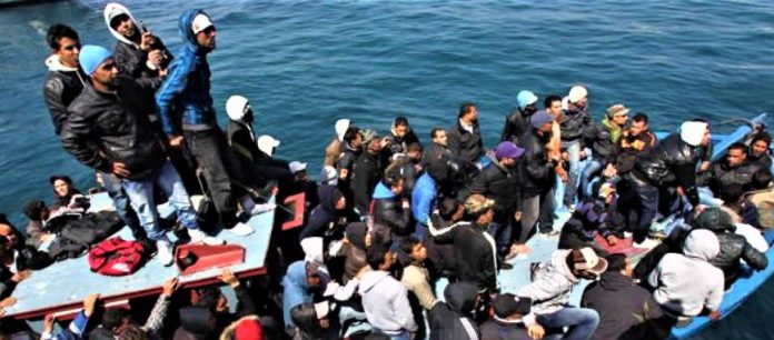 paranomoiallodapoi_2