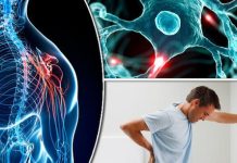 ΑΥΤΟΕΞΟΝΤΩΤΙΚΕΣ ΚΟΙΝΩΝΙΕΣ….