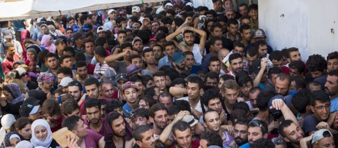 lathrometanstes_kos-1