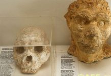 Πλαστές οι Γερμανικές Χρονολόγησεις του Αρχανθρώπου των Πετραλώνων! Πλαστές οι Γερμανικές Χρονολόγησεις του Αρχανθρώπου των Πετραλώνων!