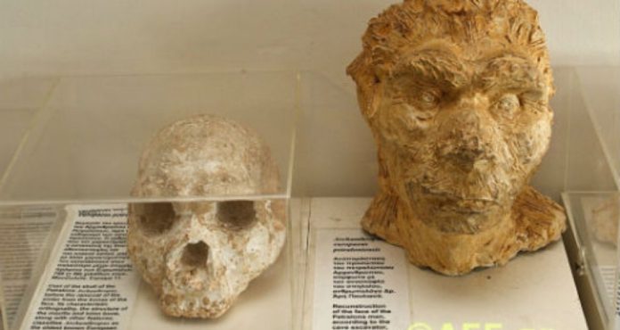 Πλαστές οι Γερμανικές Χρονολόγησεις του Αρχανθρώπου των Πετραλώνων! Πλαστές οι Γερμανικές Χρονολόγησεις του Αρχανθρώπου των Πετραλώνων!