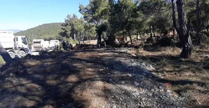 Τα ΜΑΤ μαζί με μηχανήματα καταστρέφουν το δάσος στο Διαβολόρεμα - Εισαγγελέας υπάρχει;