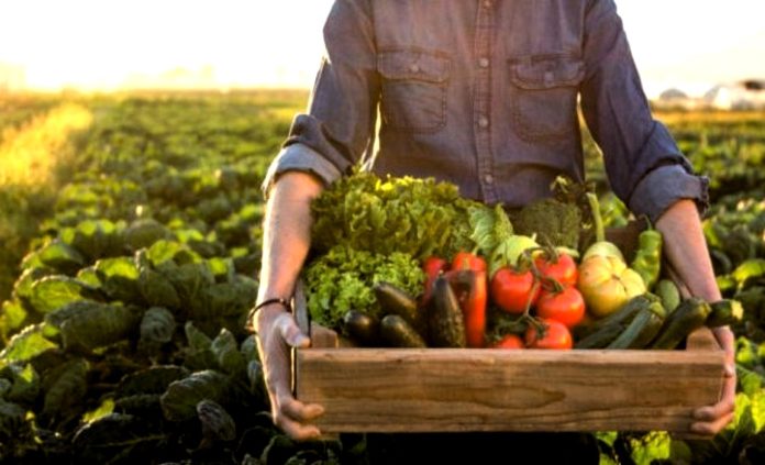 Ο ΟΗΕ προειδοποιεί για σημαντικές ελλείψεις τροφίμων παγκοσμίως Ο ΟΗΕ προειδοποιεί για σημαντικές ελλείψεις τροφίμων παγκοσμίως