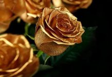 « Πόρτα κρυφή, πόρτα μαλαματένια…» Πόρτα κρυφή, πόρτα μαλαματένια