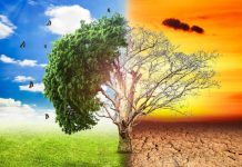 ΖΗΤΟΥΝ ΑΠΟ ΤΟΥΣ ΠΟΛΙΤΕΣ ΝΑ ΖΥΓΙΖΟΥΝ ΤΑ ΑΠΟΡΡΙΜΜΑΤΑ ΖΗΤΟΥΝ ΑΠΟ ΤΟΥΣ ΠΟΛΙΤΕΣ ΝΑ ΖΥΓΙΖΟΥΝ ΤΑ ΑΠΟΡΡΙΜΜΑΤΑ