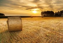 4 ΠΟΛΥΕΘΝΙΚΕΣ ΘΑ ΔΙΑΧΕΙΡΙΖΟΝΤΑΙ ΤΗΝ ΑΓΡΟΤΙΚΗ ΠΑΡΑΓΩΓΗ ΣΤΗΝ ΕΛΛΑΔΑ 4 ΠΟΛΥΕΘΝΙΚΕΣ ΘΑ ΔΙΑΧΕΙΡΙΖΟΝΤΑΙ ΤΗΝ ΑΓΡΟΤΙΚΗ ΠΑΡΑΓΩΓΗ ΣΤΗΝ ΕΛΛΑΔΑ