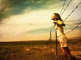 ΟΙ ΡΙΖΕΣ ΤΟΥ ΚΑΚΟΥ…