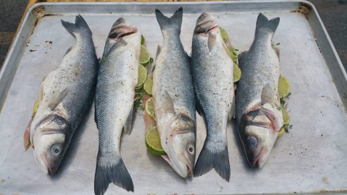 ΤΡΩΜΕ ΨΑΡΙΑ ΜΕ ΔΙΟΞΙΝΕΣ ΤΡΩΜΕ ΨΑΡΙΑ ΜΕ ΔΙΟΞΙΝΕΣ