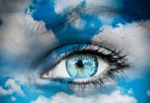 ΠΕΡΣΕΦΩΝΗ Η ΚΟΡΗ Ο ΠΡΩΤΑΡΧΙΚΟΣ ΑΝΘΡΩΠΟΣ ΠΕΡΣΕΦΩΝΗ Η ΚΟΡΗ Ο ΠΡΩΤΑΡΧΙΚΟΣ ΑΝΘΡΩΠΟΣ