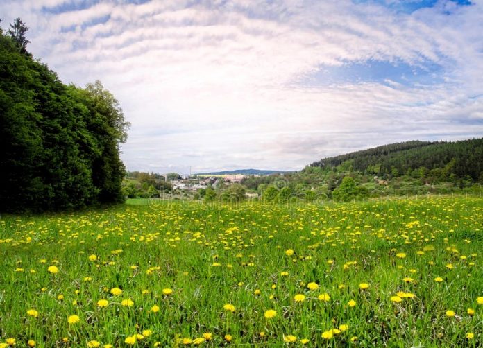 ΤΑ ΦΥΤΑ ΥΠΑΡΧΟΥΝ ΣΤΗΝ ΔΗΜΙΟΥΡΓΙΑ ΓΙΑ ΝΑ ΥΠΑΡΧΟΥΝ ΤΑ ΑΛΛΑ 6 ΕΞΙ ΕΛΛΑΝΙΑ ΔΗΜΙΟΥΡΓΗΜΑΤΑ ΤΑ ΦΥΤΑ ΥΠΑΡΧΟΥΝ ΣΤΗΝ ΔΗΜΙΟΥΡΓΙΑ ΓΙΑ ΝΑ ΥΠΑΡΧΟΥΝ ΤΑ ΑΛΛΑ 6 ΕΞΙ ΕΛΛΑΝΙΑ ΔΗΜΙΟΥΡΓΗΜΑΤΑ
