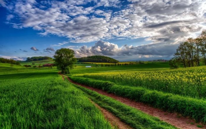 Ο ΚΑΘΑΡΟΣ ΛΟΓΟΣ ΕΝΟΣ ΓΕΩΡΓΟΥ (ΓΑΙΑΣ ΕΡΓΟ)
