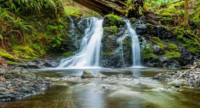 Ο ΠΗΓΑΙΟΣ ΛΟΓΟΣ ΕΝΟΣ ΓΕΩΡΓΟΥ ΠΟΥ ΑΦΟΥΓΚΡΑΖΕΤΑΙ ΤΗΝ ΑΛΗΘΕΙΑ ΤΗΣ ΦΥΣΗΣ Ο ΠΗΓΑΙΟΣ ΛΟΓΟΣ ΕΝΟΣ ΓΕΩΡΓΟΥ ΠΟΥ ΑΦΟΥΓΚΡΑΖΕΤΑΙ ΤΗΝ ΑΛΗΘΕΙΑ ΤΗΣ ΦΥΣΗΣ