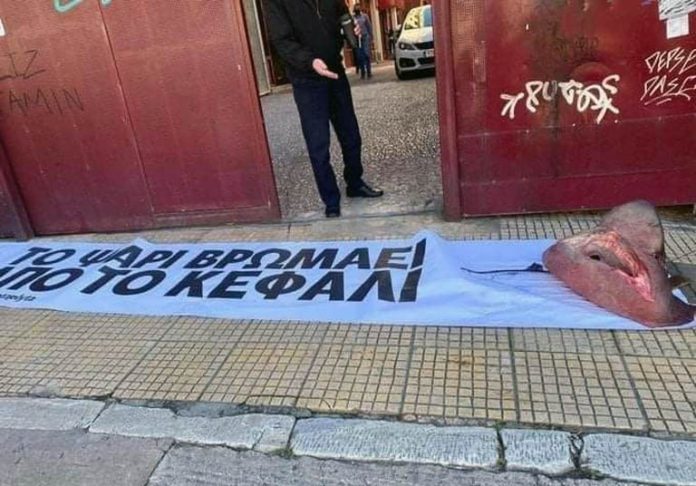 ΤΟ ΨΑΡΙ ΒΡΩΜΑΕΙ ΑΠΟ ΤΟ ΚΕΦΑΛΙ ΤΟ ΨΑΡΙ ΒΡΩΜΑΕΙ ΑΠΟ ΤΟ ΚΕΦΑΛΙ