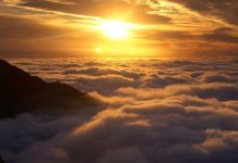 ΠΟΛΙΤΗΣ ΠΟΛΙΤΕΙΑ ΔΗΜΟΚΡΑΤΙΑ ΕΛΕΥΘΕΡΙΑ ΠΟΛΙΤΗΣ ΠΟΛΙΤΕΙΑ ΔΗΜΟΚΡΑΤΙΑ ΕΛΕΥΘΕΡΙΑ