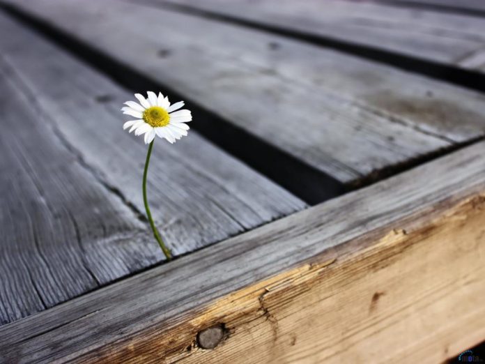 ΕΤΣΙ ΘΑ ΒΓΟΥΜΕ ΑΠΟ ΤΑ ΜΝΗΜΟΝΙΑ ΚΑΙ ΤΗΝ ΚΡΙΣΗ ΕΤΣΙ ΘΑ ΒΓΟΥΜΕ ΑΠΟ ΤΑ ΜΝΗΜΟΝΙΑ ΚΑΙ ΤΗΝ ΚΡΙΣΗ