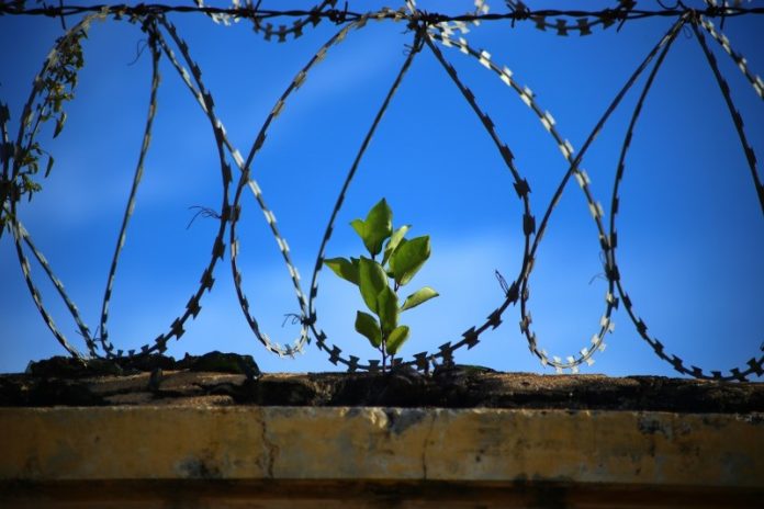 Η ΕΙΚΟΝΙΚΗ ΑΠΕΛΕΥΘΕΡΩΣΗ ΤΩΝ ΕΛΛΗΝΩΝ Η ΕΙΚΟΝΙΚΗ ΑΠΕΛΕΥΘΕΡΩΣΗ ΤΩΝ ΕΛΛΗΝΩΝ