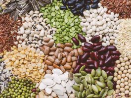 Ο ΠΟΛΕΜΟΣ ΓΙΑ ΤΟΥΣ ΣΠΟΡΟΥΣ