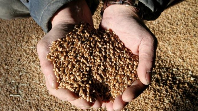 Οι 4 αιτίες που εκτόξευσαν τις τιμές των τροφίμων Οι 4 αιτίες που εκτόξευσαν τις τιμές των τροφίμων