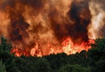 Η ΔΡΑΣΗ ΦΕΡΝΕΙ ΑΝΤΙΔΡΑΣΗ Η ΔΡΑΣΗ ΦΕΡΝΕΙ ΑΝΤΙΔΡΑΣΗ