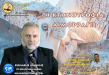 Η ΚΤΗΝΟΤΡΟΦΙΑ ΑΙΜΟΡΡΑΓΕΙ