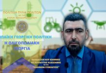 Ευρωπαϊκή Γεωργική Πολιτική: Η ΟΛΙΓΟΠΩΛΙΑΚΗ ΓΕΩΡΓΙΑ Ευρωπαϊκή Γεωργική Πολιτική: Η ΟΛΙΓΟΠΩΛΙΑΚΗ ΓΕΩΡΓΙΑ