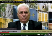 ΕΦΗΜΕΡΙΔΕΣ: ΤΥΠΟΣ ΕΝΗΜΕΡΩΣΗΣ “Η ΚΟΜΜΑΤΙΚΗΣ ΟΜΑΔΟΠΟΙΗΣΗΣ ΠΟΛΙΤΩΝ ΕΦΗΜΕΡΙΔΕΣ: ΤΥΠΟΣ ΕΝΗΜΕΡΩΣΗΣ "Η ΚΟΜΜΑΤΙΚΗΣ ΟΜΑΔΟΠΟΙΗΣΗΣ ΠΟΛΙΤΩΝ