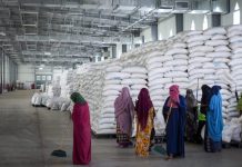 Η ΚΡΙΣΗ ΚΑΙ ΟΙ ΚΡΟΙΣΟΙ Η ΚΡΙΣΗ ΚΑΙ ΟΙ ΚΡΟΙΣΟΙ