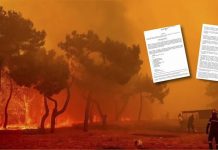 Αποκαλύφθηκε: Η Siemens έχει σχέδια για τη Δαδιά Αποκαλύφθηκε: Η Siemens έχει σχέδια για τη Δαδιά