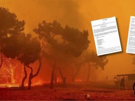 Αποκαλύφθηκε: Η Siemens έχει σχέδια για τη Δαδιά Αποκαλύφθηκε: Η Siemens έχει σχέδια για τη Δαδιά