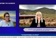 ΚΤΗΝΟΤΡΟΦΙΑ ΣΕ ΚΡΙΣΗ