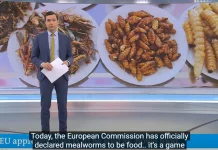 ΕΝΤΟΜΟΦΑΓΙΑ ΣΤΑ ΣΧΟΛΕΙΑ ΜΕ ΤΗΝ ΒΟΥΛΑ ΤΗΣ ΚΟΜΙΣΙΟΝ – Ε. ΓΙΑΔΑΝΟΥ ΡΑΔΙΟ ΑΡΓΩ ΕΝΤΟΜΟΦΑΓΙΑ ΣΤΑ ΣΧΟΛΕΙΑ ΜΕ ΤΗΝ ΒΟΥΛΑ ΤΗΣ ΚΟΜΙΣΙΟΝ