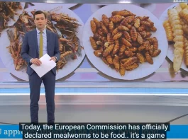 ΕΝΤΟΜΟΦΑΓΙΑ ΣΤΑ ΣΧΟΛΕΙΑ ΜΕ ΤΗΝ ΒΟΥΛΑ ΤΗΣ ΚΟΜΙΣΙΟΝ – Ε. ΓΙΑΔΑΝΟΥ ΡΑΔΙΟ ΑΡΓΩ ΕΝΤΟΜΟΦΑΓΙΑ ΣΤΑ ΣΧΟΛΕΙΑ ΜΕ ΤΗΝ ΒΟΥΛΑ ΤΗΣ ΚΟΜΙΣΙΟΝ