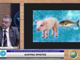 ΜΕΤΑΛΛΑΓΜΕΝΕΣ ΤΡΟΦΕΣ ΣΤΑ ΨΑΡΙΑ ΙΧΘΥΟΚΑΛΛΙΕΡΓΕΙΑΣ (ΜΕΡΟΣ Β’) ΜΕΤΑΛΛΑΓΜΕΝΕΣ ΤΡΟΦΕΣ ΣΤΑ ΨΑΡΙΑ ΙΧΘΥΟΚΑΛΛΙΕΡΓΕΙΑΣ (ΜΕΡΟΣ Β')