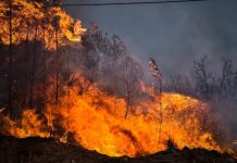 Η ΧΩΡΑ ΦΛΕΓΕΤΑΙ ΣΤΟΝ ΒΩΜΟ ΤΩΝ ΜΕΓΑΛΩΝ ΣΥΜΦΕΡΟΝΤΩΝ Η ΧΩΡΑ ΦΛΕΓΕΤΑΙ ΣΤΟΝ ΒΩΜΟ ΤΩΝ ΜΕΓΑΛΩΝ ΣΥΜΦΕΡΟΝΤΩΝ