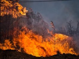 Η ΧΩΡΑ ΦΛΕΓΕΤΑΙ ΣΤΟΝ ΒΩΜΟ ΤΩΝ ΜΕΓΑΛΩΝ ΣΥΜΦΕΡΟΝΤΩΝ