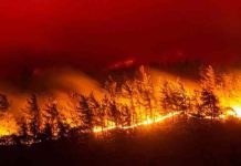 Αθώοι παραβάτες, ένοχοι φύλακες: Η αλήθεια πίσω από την παραβίαση των συνόρων στον Εβρο Αθώοι αυτοί που παραβιάζουν τα σύνορα??Ένοχοι αυτοί που τα προφυλάσουν???