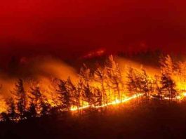 Αθώοι αυτοί που παραβιάζουν τα σύνορα??Ένοχοι αυτοί που τα προφυλάσουν???