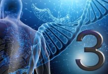 Ο αριθμός 3 και το ανθρώπινο σώμα
