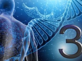 Ο αριθμός 3 και το ανθρώπινο σώμα