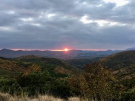 Δάσος Δαδιάς:Ανατροπή στη δημιουργία του αιολικού σταθμού