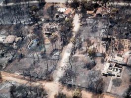 Δίκη για το Μάτι-Ξανά από την αρχή μετά την έφεση της Εισαγγελίας