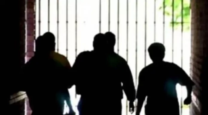 Αρχηγός συμμορίας 150 ατόμων αποκαλύπτει: Οι ανώτεροί μου έχουν άκρες στην αστυνομία – Στρατολογούν ανήλικους. Ποιός είναι χρηματοδότης; Αρχηγός συμμορίας 150 ατόμων αποκαλύπτει: Οι ανώτεροί μου έχουν άκρες στην αστυνομία – Στρατολογούν ανήλικους.