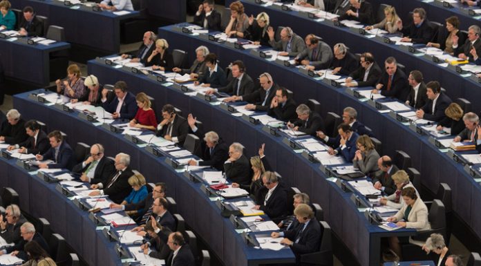 Ο ρόλος των Ευρωβουλευτών
