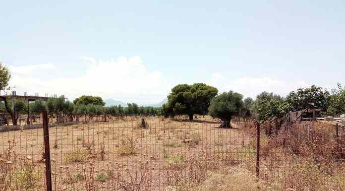 Πυροπροστασία ακινήτων: Και μέσω ηλεκτρονικής πλατφόρμας οι καταγγελίες πολιτών για τα ακαθάριστα οικόπεδα Πυροπροστασία ακινήτων: Και μέσω ηλεκτρονικής πλατφόρμας οι καταγγελίες πολιτών για τα ακαθάριστα οικόπεδα